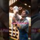 Heartwarming Calf Rescue Story 🐄  #AnimalRescue #HeartwarmingStory #CalfRescue  #Shorts