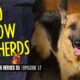 Horse Shelter Heroes S5 E37 - 20 Show Shepherds!