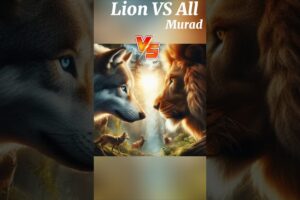 Lion VS All. #shorts , #animals , #animalshorts , #hunter murad, # animal fights, # animal moments.