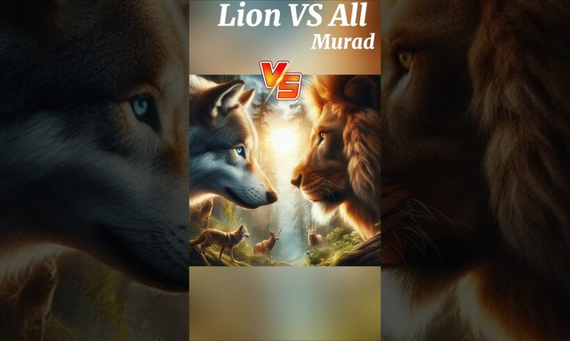 Lion VS All. #shorts , #animals , #animalshorts , #hunter murad, # animal fights, # animal moments.