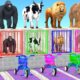 Long Slide Game with Elephant Gorilla Hippopotamus Tiger - 3d animal cage game - funny 3d animals