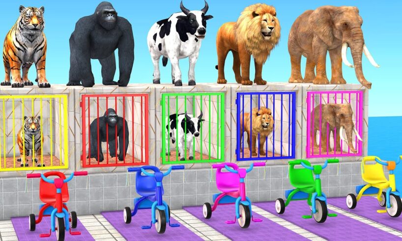 Long Slide Game with Elephant Gorilla Hippopotamus Tiger - 3d animal cage game - funny 3d animals