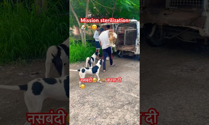 Mission sterilization🐶🐕| नसबंदी करवा दी🥹😊😍🐕🐶#sterilization #dog