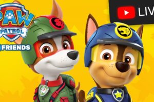 🔴 NEW! PAW Patrol Season 10  Jungle Rescue, Rescue Wheels, Mighty Pups - All Day Cartoon Live Stream