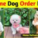 Online dog kaise kharide | Teacup Pomeranian dog  | How to buy a dog online? |  Online Dog buy kare