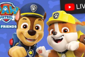 🔴 PAW Patrol Save Adventure Bay Rescue Episodes for Kids - PAW Patrol Cartoons! - Live Stream