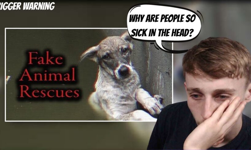 Reacting to YouTube's Fake Animal Rescue Channels | I Hate People.