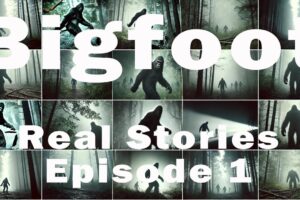 Real Stories of Sasquatch Sightings! Bigfoot Encounter Compilation: Episode 1