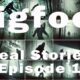 Real Stories of Sasquatch Sightings! Bigfoot Encounter Compilation: Episode 1