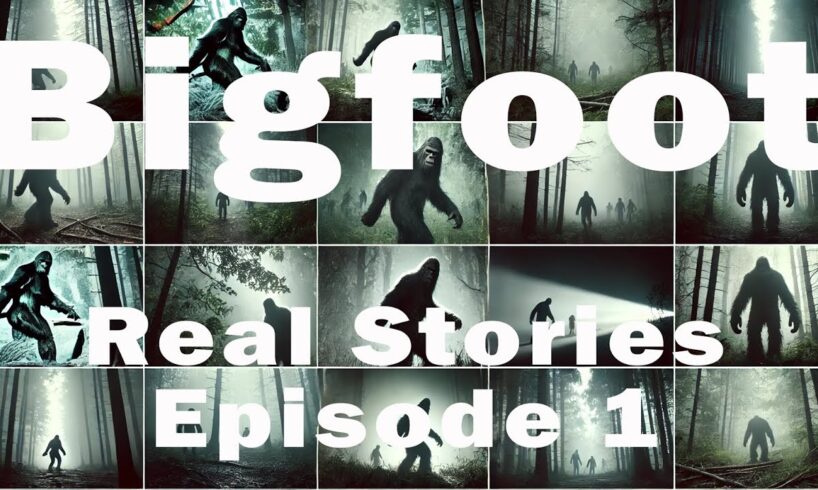 Real Stories of Sasquatch Sightings! Bigfoot Encounter Compilation: Episode 1