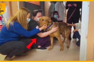 Shelter Dog Gives Goodbye Kisses To Every Staff Member On His Way Out