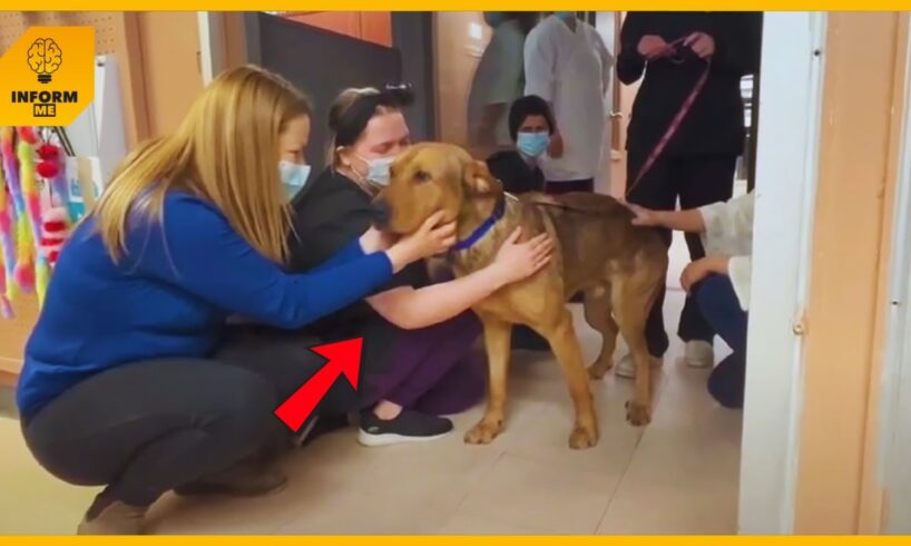 Shelter Dog Gives Goodbye Kisses To Every Staff Member On His Way Out