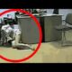 TOTAL IDIOTS AT WORK #3 | Fails of the week | Instant regret compilation 2024