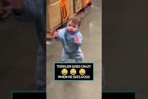 The Excitement Is Off The Charts 😂 #toddlers #dogs #puppies