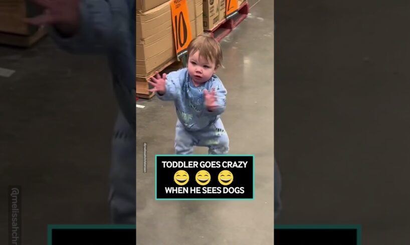 The Excitement Is Off The Charts 😂 #toddlers #dogs #puppies