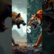 Tiger Vs Wilde Animals |  #animals #Shorts #wildlife #short