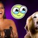 Top 25 CUTEST Animal Acts Ever on America's Got Talent!