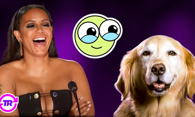 Top 25 CUTEST Animal Acts Ever on America's Got Talent!