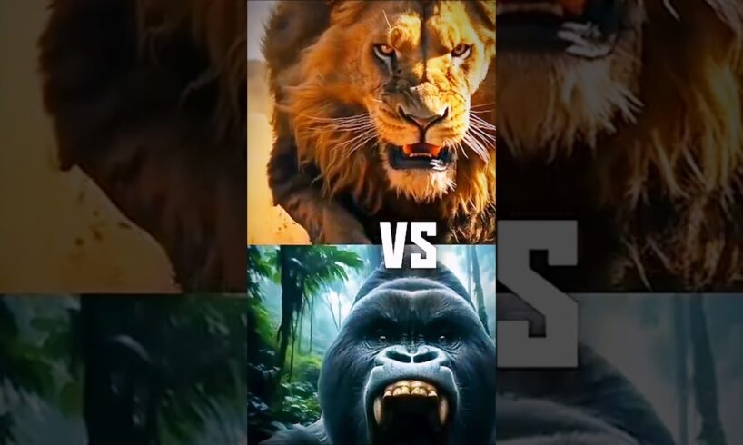 Top5 Animal fight,(lion,fox etc)#viralshorts #shorts