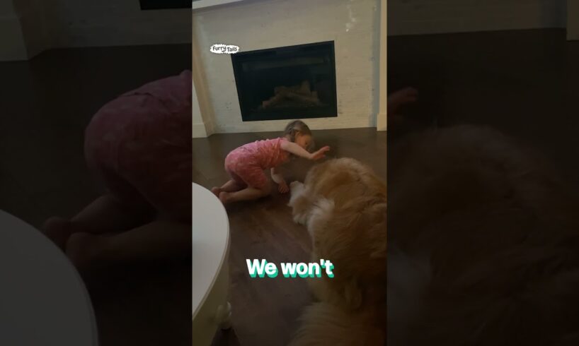 Trying to get the family dog to talk 😂 🐶        🎥: Bellebebeshop via ViralHog