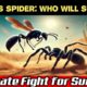 Wasp vs spider  Fight for Survive|Best Animal fight scenes|Fight to Die