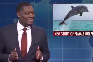 Weekend Update Colin Jost and Michael Che _SAVAGE POLITICAL_ Joke Swaps _ Funny SNL Compilation