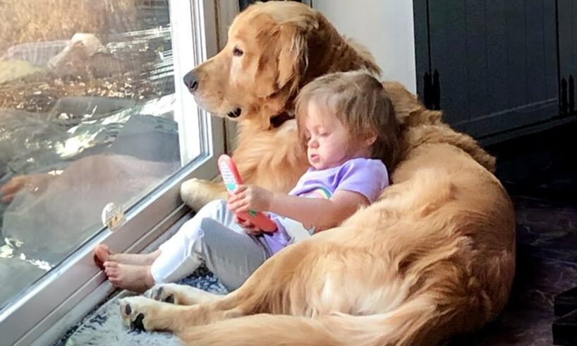 When your dog is the best babysitter