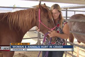 Woman survives Arizona crash with many animals she rescued