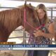 Woman survives Arizona crash with many animals she rescued