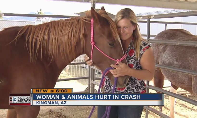 Woman survives Arizona crash with many animals she rescued