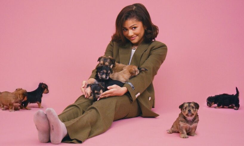 Zendaya: The Puppy Interview