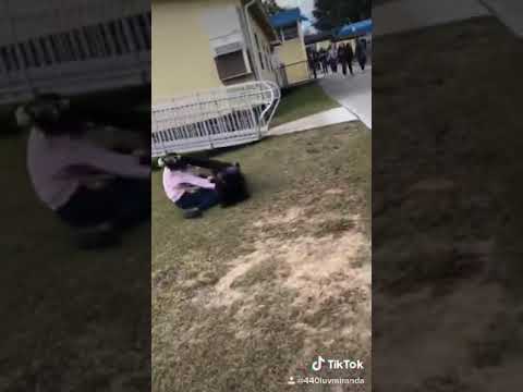 a girl fight lmao