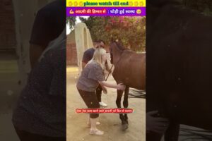 आदमी की हिम्मत से घोड़ी हुई स्वस्थ 😱🙏 #animal #animals #animallover #animalrescue #horse