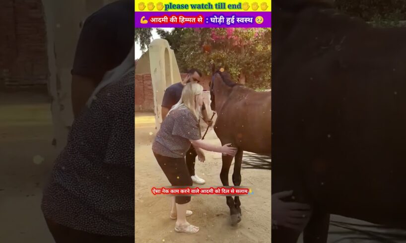 आदमी की हिम्मत से घोड़ी हुई स्वस्थ 😱🙏 #animal #animals #animallover #animalrescue #horse