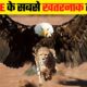 ईगल इतने खतरनाक क्यों होते है | Most Dangerous Eagle Attacks Caught on Camera