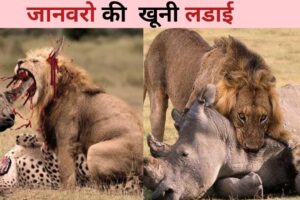 जानवरो की सवसे खतरनाक लड़ाई | Animals most Dangerous Battles | Animals fight