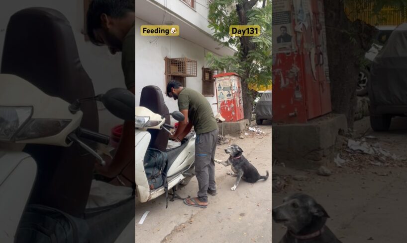 भगवान सब का भला करेलेकिन सबसे पहले इन बेज़ुबान बच्चो का🥹🐶🙏🐕|#animals