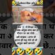 ये bank 🏦 वाले भी ना@Deshivillagelife01 #funny #dog #trending #shortvideo #shorts #short #chutkule