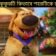 কালু নামে কুকুরটি কিভাবে শহরটিকে রক্ষা করে। cute puppies 🐶!#movieexplained