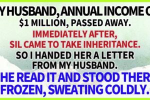 【Compilation】My husband,annual income of $1 mil passed away, immediately, SIL came for inherita