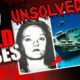 15 Cold Cases That Were Solved Recently | True Crime Documentary | Compilation