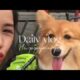 Cute Dog Collection, The World’s Cutest Puppies #dog #puppies #puppy #video #cute #cutest