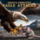 2024’s Fiercest Eagle Attacks: Wild Animal Fights You Need to See