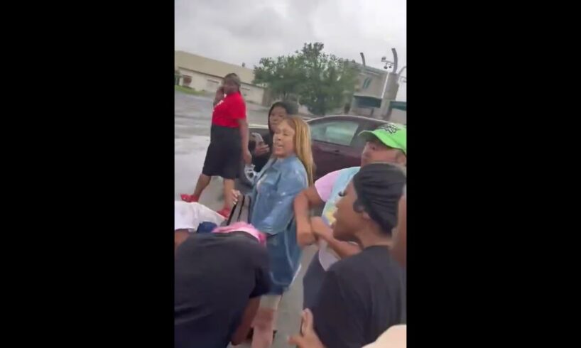 Another Hood Girl Fight