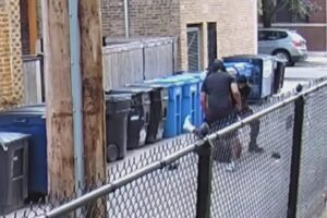 Attack in Chicago alley caught on camera