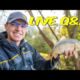 Autumn Fishing Is Awesome - Live Q&A with Joe Carass