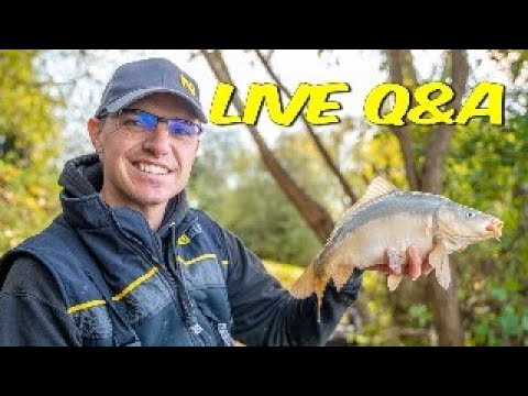 Autumn Fishing Is Awesome - Live Q&A with Joe Carass