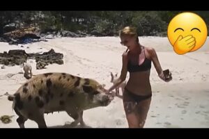 Best Fails Of The Week- Compilation 2024 😀😀😀