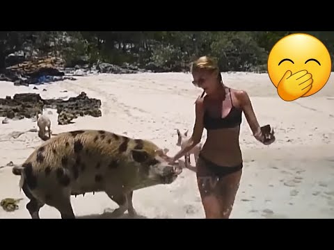 Best Fails Of The Week- Compilation 2024 😀😀😀