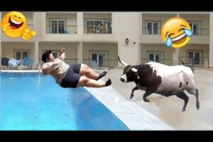 Best Fails Of The Week -  Crazy Funny Videos🔗 Link videos